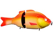 Baitsanity Explorer Gill Glide Bait