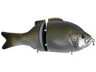 Baitsanity Explorer Gill Glide Bait