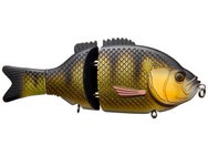 Baitsanity Explorer Gill Glide Bait