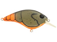 Berkley Clickin' Frittside 5 Jr. Crankbait