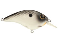 Berkley Clickin' Frittside 5 Jr. Crankbait