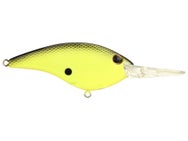 Berkley Clickin' Frittside 9 Crankbait