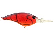 Berkley Clickin' Frittside 9 Crankbait