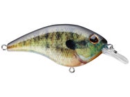 Berkley Frittside HD 5 Crankbait