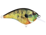 Berkley Frittside HD 5 Jr. Crankbait