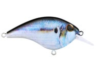 Berkley Frittside HD 5 Jr. Crankbait