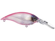 Berkley Money Badger 6.25 Crankbaits