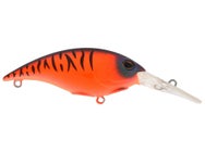 Berkley Money Badger 5 Crankbaits