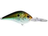 Berkley Dredger HD 17.5 Crankbait 