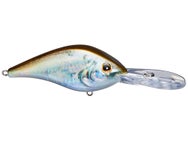 Berkley Dredger HD 20.5 Crankbait 