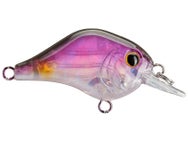 Bill Lewis Gnat Tiny Squarebill Crank 1/8oz
