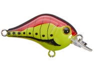 Bill Lewis Gnat Tiny Squarebill Crank 1/8oz