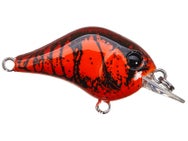 Bill Lewis Gnat Tiny Squarebill Crank 1/8oz