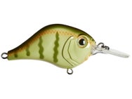 Bill Lewis MR-6 Crankbaits