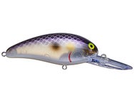 Bomber NG Model 7A Crankbait Purple Pearl Ayu