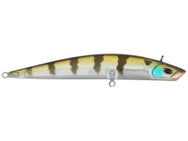 Berkley Finisher 9 FFS Jerkbait