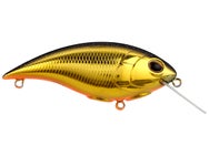 Berkley Shallow Money Badger 6.25 Crankbait