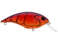 Berkley Shallow Money Badger 6.25 Crankbait