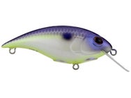 Berkley Shallow Money Badger 5 Crankbait