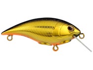 Berkley Shallow Money Badger 4 Crankbait