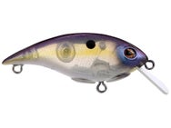 Berkley Shallow Money Badger 4 Crankbait