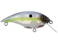 Berkley Shallow Money Badger 4 Crankbait