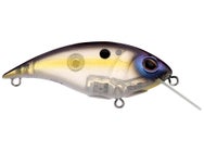 Berkley Shallow Money Badger 6.75 Crankbait