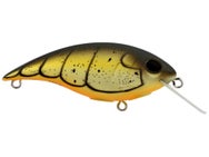 Berkley Shallow Money Badger 6.75 Crankbait