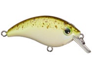 Bill Lewis ATV Squarebill 1.0 Crankbait