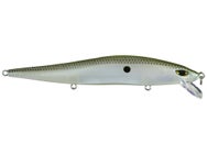Duckett Reveal FFS Jerkbait Green Gizzard Shad 5/8o