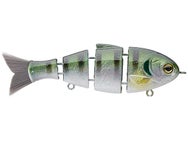 Bucca Brand Baby Bull Shad Swimbait 3.75" 