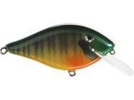 Catchem Caro Henrietta Crankbaits