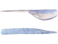Leland's Lures Slab Magnet 8pk