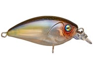 Damiki Disco 40 BFS Crankbait