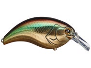 Deps Evoke 3.0 Squarebill Golden Shiner