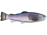 Defiant 210 Swimbait 8.25"