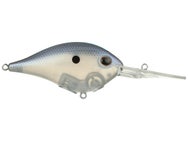 Berkley Dime 15 Crankbait