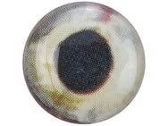 Do-it Hyper HD Series Eyes 100pk