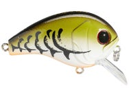 Catch Outdoors IKON Squarebill Crankbaits