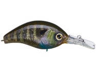 Deps Korrigan 250 Magnum Squarebill Crankbait