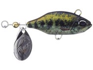 Duo Realis Spin