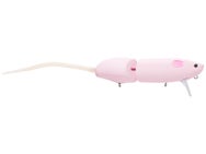 Evergreen Combat Rat