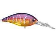 Evergreen CR 10 Crankbaits 