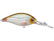Evergreen CR 10 Crank Skeleton Wakasagi 