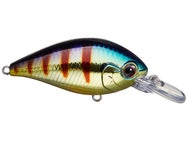 Evergreen CR 06 Crank Oki Gold 