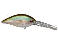 Evergreen CR 16 Crankbaits