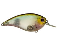 Evergreen Flat Force 4 Crankbaits