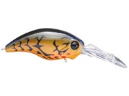 Evergreen Wild Hunch 5 Crankbaits