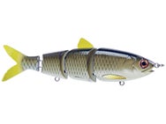 Fishlab BBZ Swimbait Carp 6"