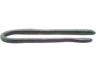 Gambler ER16 16" Worm 2pk